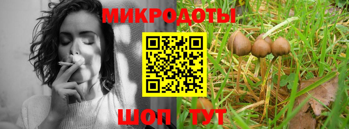 как найти наркотики  Вход с VPN  Карачаевск  Галлюциногенные грибы MAGIC MUSHROOMS 