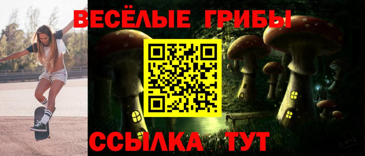 Псилоцибиновые грибы GOLDEN TEACHER Карачаевск